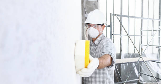 Professional Mold Removal & Remediation in Monticello, IL